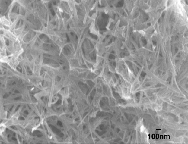 進(jìn)口硅納米線Silica Nanowires A10